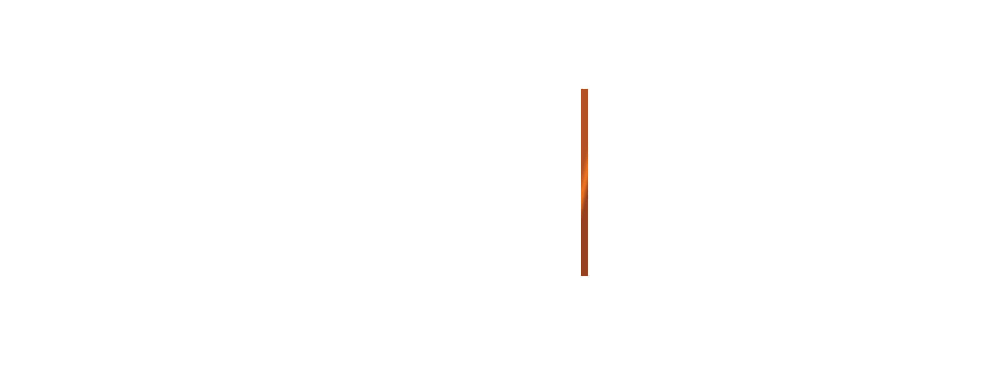 Sally Better — Print & Digital Solutions